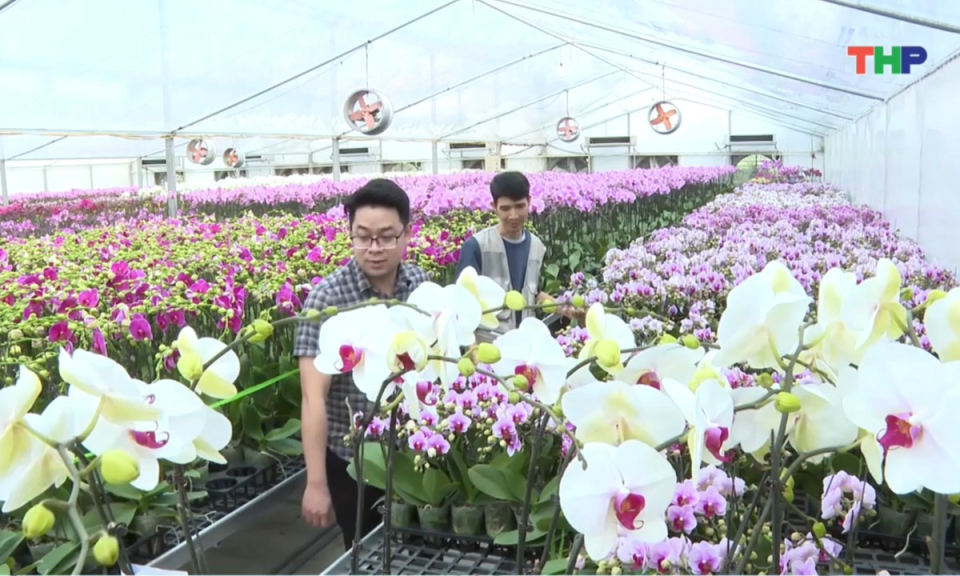 Nhịp sống 24h (21/01/2026)