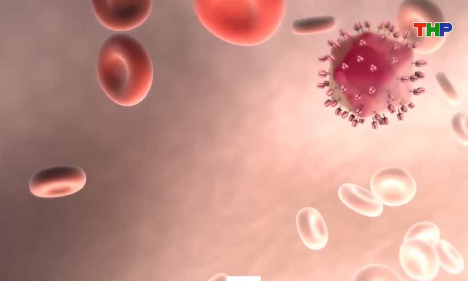 Kh&aacute;m ph&aacute; thế giới: HIV/AIDS - Từ nỗi sợ h&atilde;i bao tr&ugrave;m nh&acirc;n loại đến h&agrave;nh tr&igrave;nh thấu hiểu