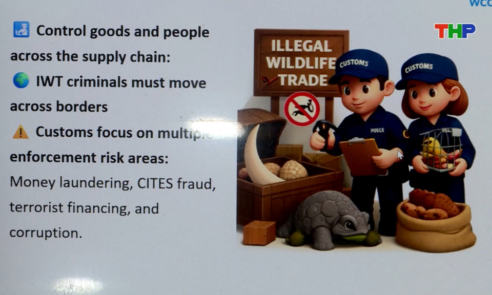 Ph&ograve;ng, chống bu&ocirc;n b&aacute;n tr&aacute;i ph&eacute;p động vật hoang d&atilde;