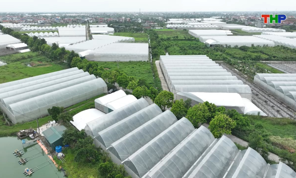 Khoa học c&ocirc;ng nghệ v&agrave; đời sống: Chuyển giao ứng dụng tiến bộ kỹ thuật để n&acirc;ng cao gi&aacute; trị sản xuất n&ocirc;ng nghiệp