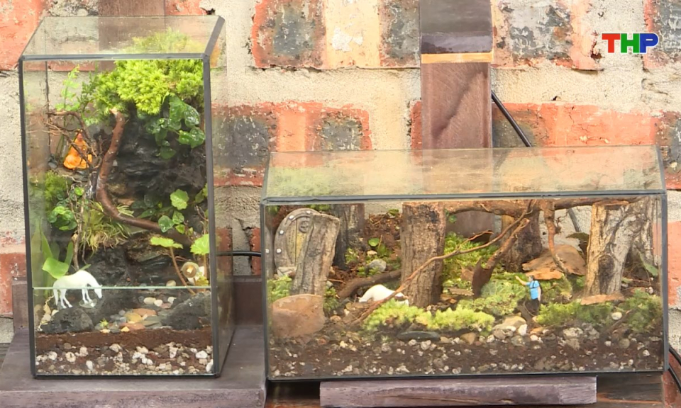 Nhịp sống trẻ: Người trẻ v&agrave; xu hướng sống xanh