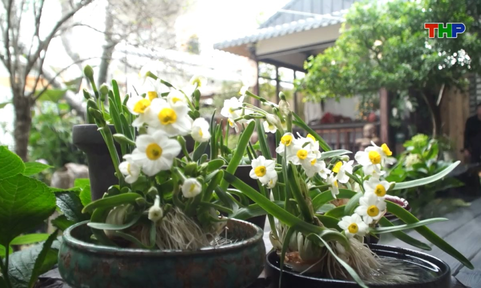 Chạm Hải Ph&ograve;ng: Thủy ti&ecirc;n đ&oacute;n xu&acirc;n