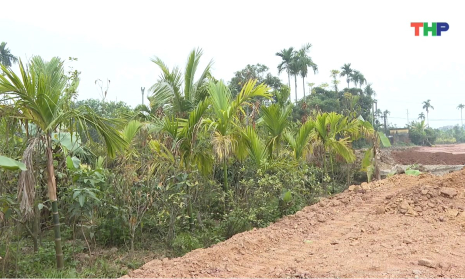 Nhịp sống 24h (25/01/2026)