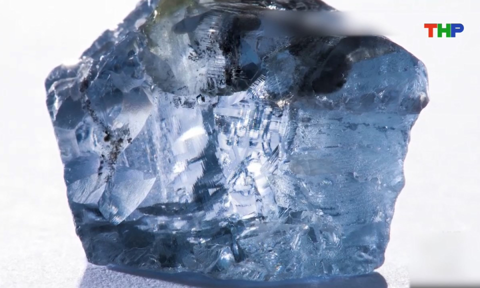 Thế giới mỗi ng&agrave;y (25/01/2026)