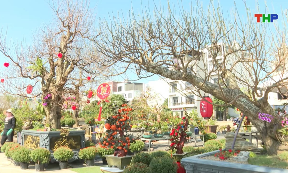 Bản tin thời sự trưa (27/01/2026)