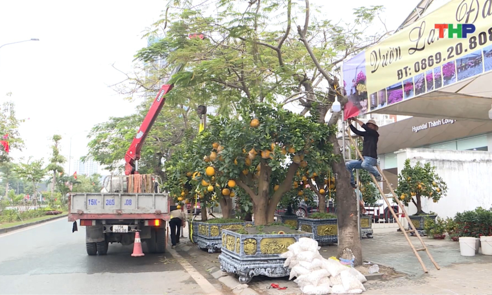 Chuẩn bị tổ chức chợ hoa xu&acirc;n 