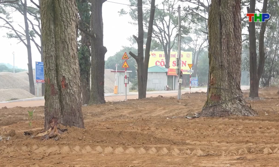 10 ph&uacute;t v&agrave;ng (27/01/2026)