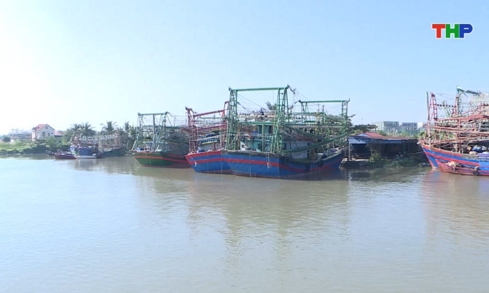 Bản tin tiếng Trung - 海防新闻 (27/01/2026)