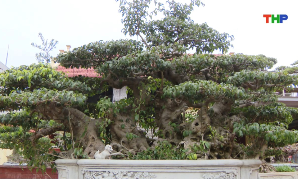 Bản tin thời sự s&aacute;ng (28/01/2026)