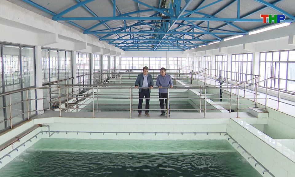 Ph&aacute;p luật v&agrave; cuộc sống: Bảo đảm nước sạch sinh hoạt trong cao điểm Tết Nguy&ecirc;n đ&aacute;n