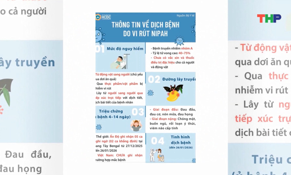 Chủ động ph&ograve;ng bệnh do virus Nipah 