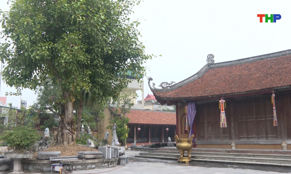 Độc đ&aacute;o ch&ugrave;a Động Ngọ