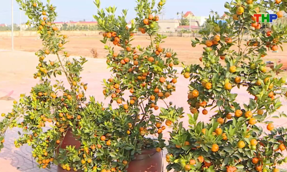 10 ph&uacute;t v&agrave;ng (29/01/2026)