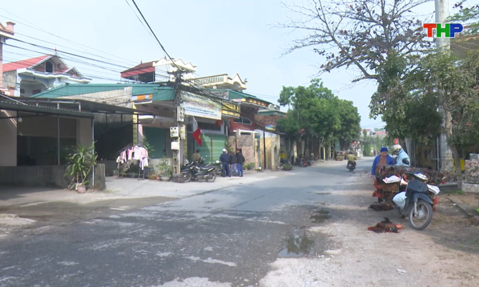 Bản tin tiếng Anh - Hai Phong News (29/01/2026)