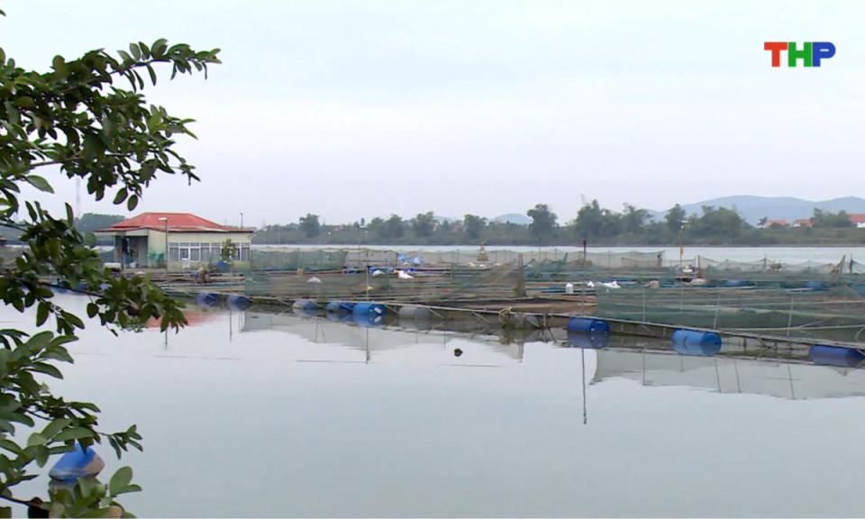 Bản tin thời sự s&aacute;ng (30/01/2026)