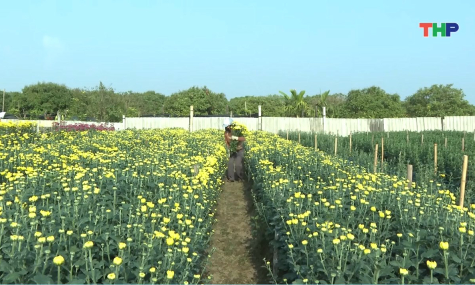 Nhịp sống 24h (30/01/2026)