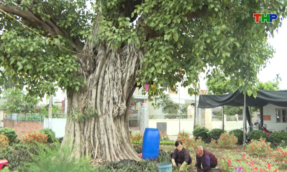 Bản tin thời sự s&aacute;ng (31/01/2026)