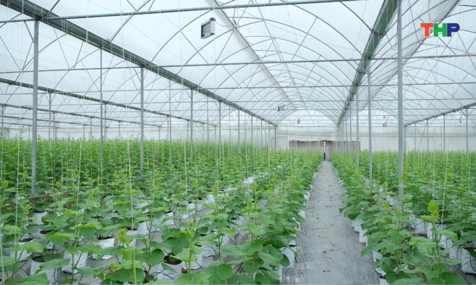 Bản tin thời sự 17h00 (30/01/2026)