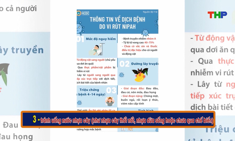 C&aacute;c biện ph&aacute;p ph&ograve;ng bệnh do virus Nipah