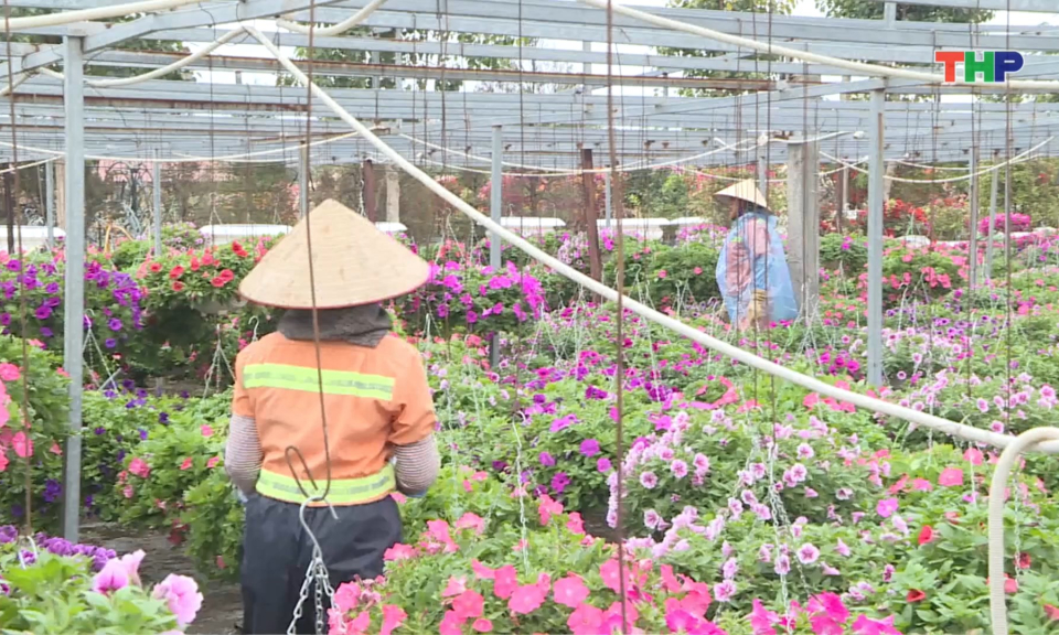 Triển khai c&ocirc;ng t&aacute;c phục vụ Tết B&iacute;nh Ngọ 2026