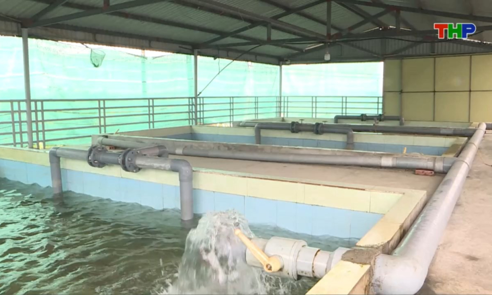 Bản tin thời sự cuối ng&agrave;y (31/01/2026)