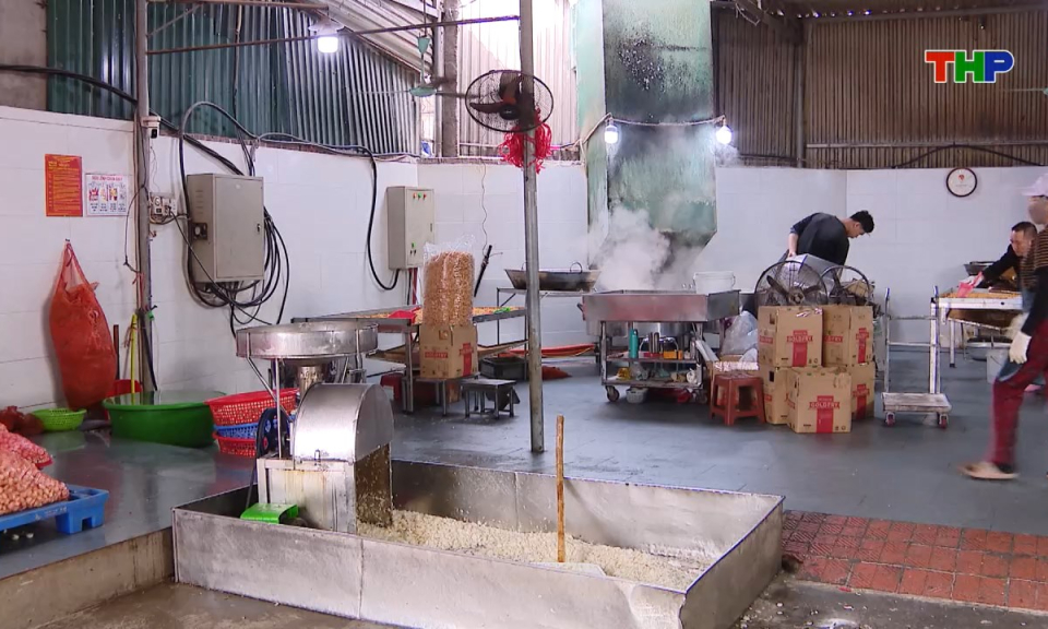 Bản tin tiếng Anh - Hai Phong News (31/01/2026)