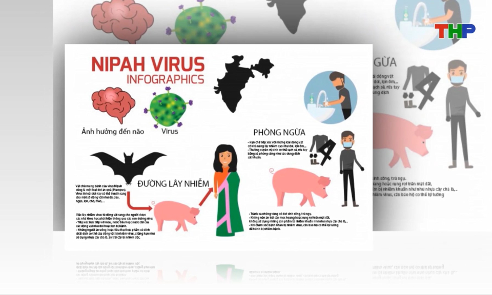 Siết chặt an to&agrave;n thực phẩm ph&ograve;ng bệnh do virus Nipah