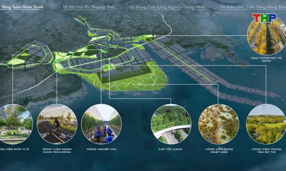 Bản tin tiếng Trung - 海防新闻 (01/02/2026)