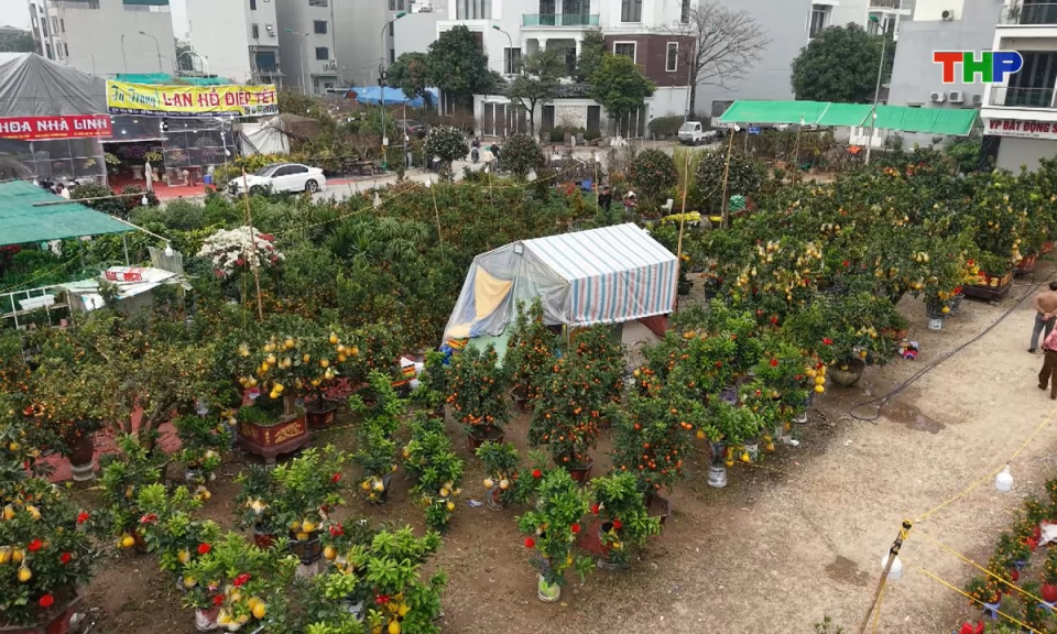 Đ&ocirc; thị v&agrave; cuộc sống: Hoa xu&acirc;n xuống phố