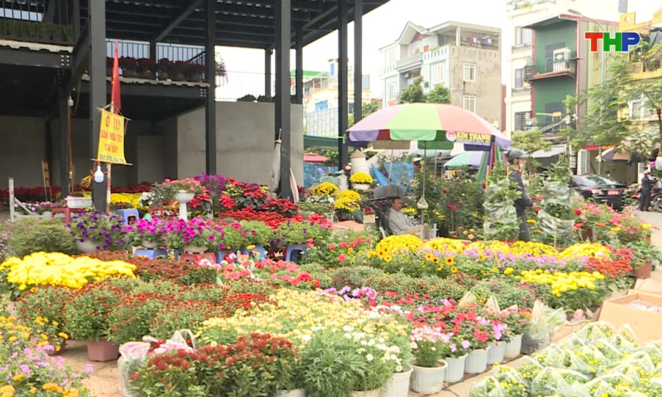 Chạm Hải Ph&ograve;ng: Nhộn nhịp chợ c&acirc;y cảnh ng&agrave;y Tết