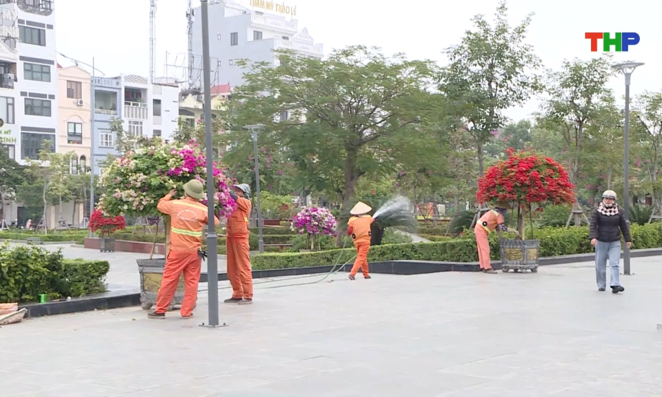 Chăm s&oacute;c hoa xu&acirc;n trong dịp Tết