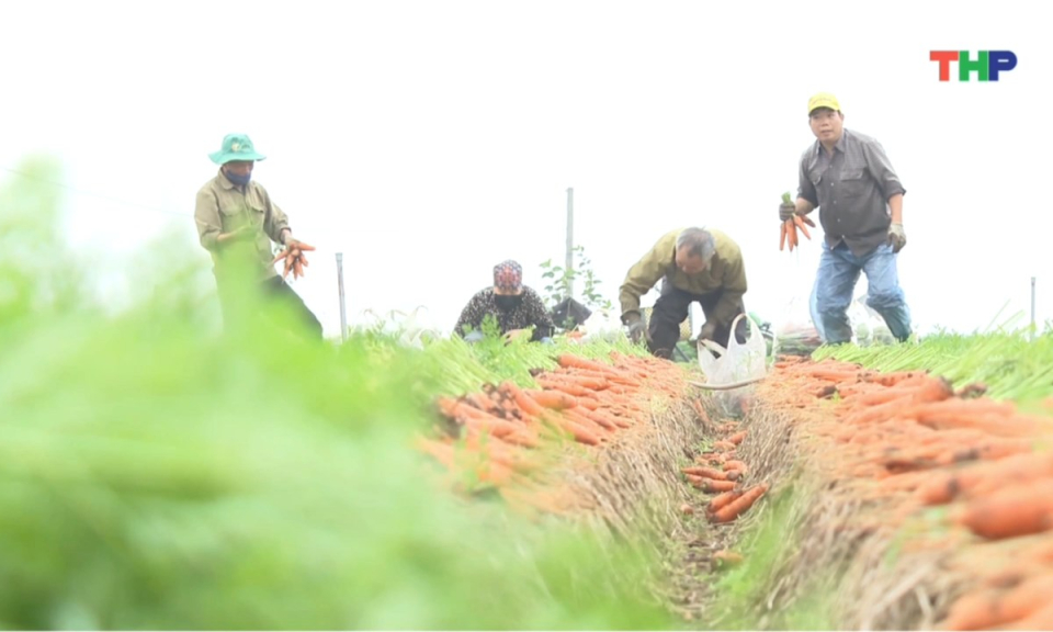 Nhịp sống 24h (03/02/2026)