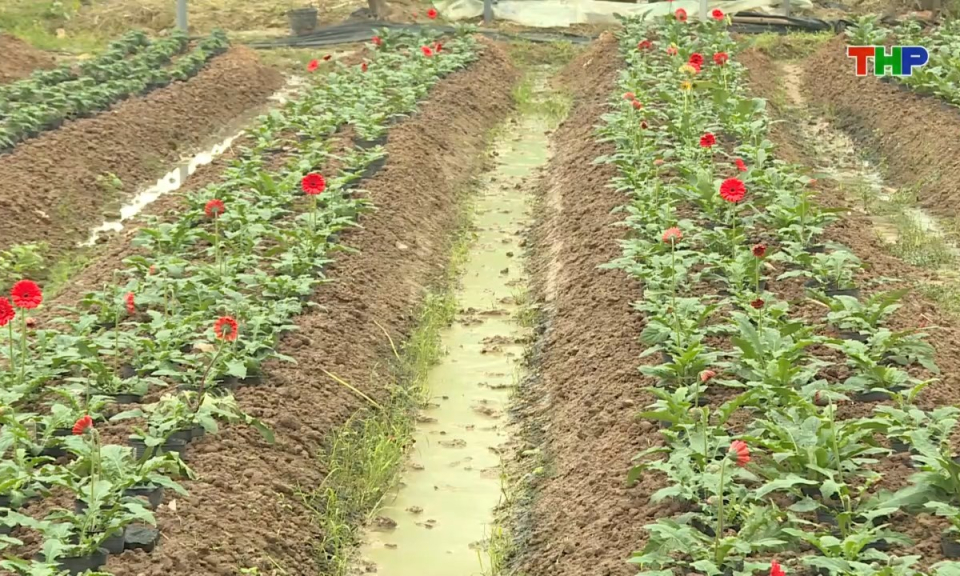 10 ph&uacute;t v&agrave;ng (03/02/2026)