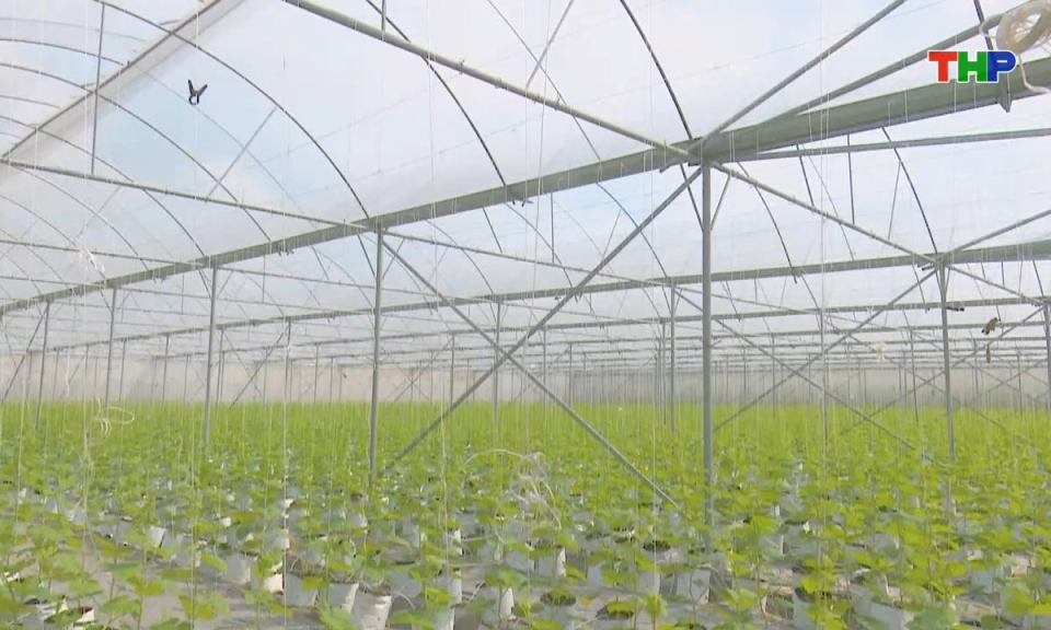 N&ocirc;ng th&ocirc;n mới Hải Ph&ograve;ng: Gỡ kh&oacute; về vốn cho sản xuất n&ocirc;ng nghiệp