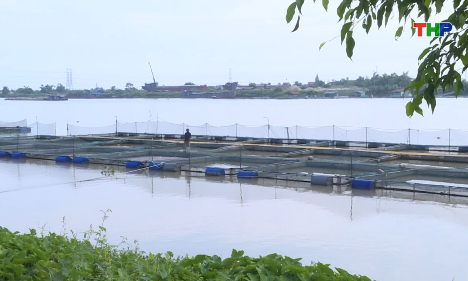 Đồng h&agrave;nh c&ugrave;ng nh&agrave; n&ocirc;ng: C&aacute;c biện ph&aacute;p chống r&eacute;t cho đ&agrave;n c&aacute;