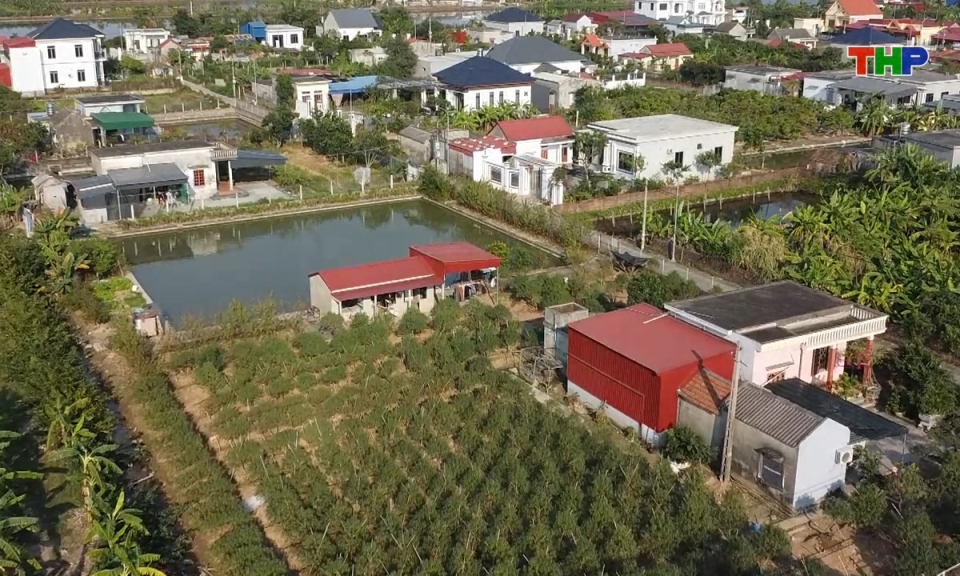 Hải Ph&ograve;ng những g&oacute;c nh&igrave;n: Sắc xu&acirc;n từ những v&ugrave;ng trồng hoa