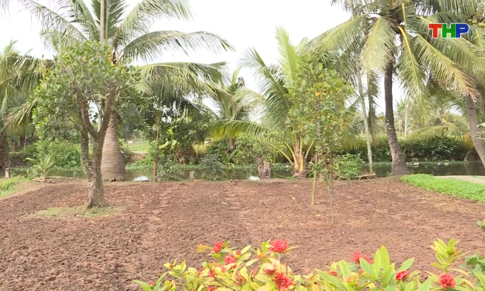 Hộp thư truyền h&igrave;nh: Chung quanh việc tăng chi ph&iacute; cấp giấy chứng nhận quyền sử dụng đất lần đầu