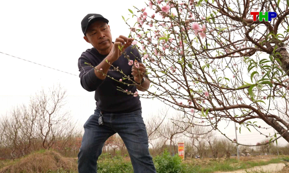 Chạm Hải Ph&ograve;ng: Sắc hoa Đồng Dụ