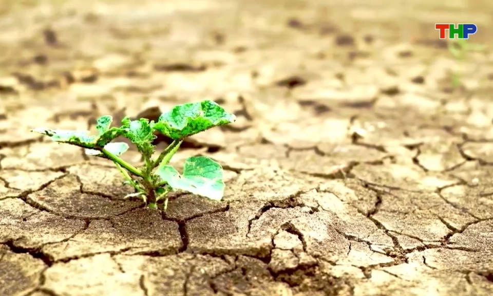 Hồ sơ quốc tế: Giải ph&aacute;p n&agrave;o cho t&igrave;nh trạng khủng hoảng nước to&agrave;n cầu