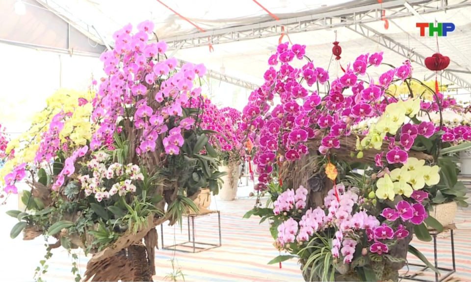 Bản tin thời sự trưa (06/02/2026)