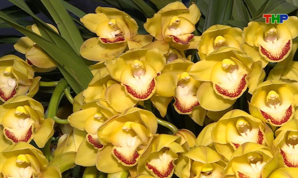 10 ph&uacute;t v&agrave;ng (06/02/2026)