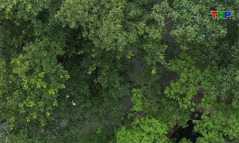 Nhịp sống 24h (07/02/2026)