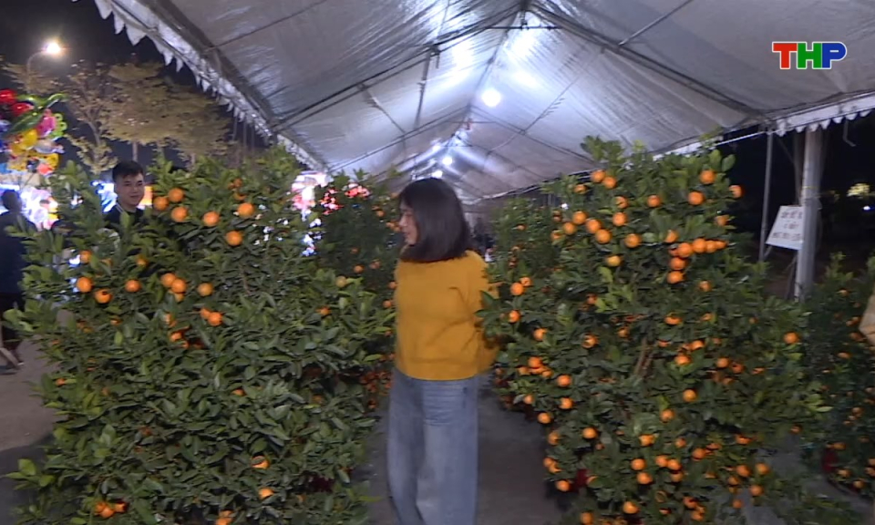 Bản tin tiếng Anh - Hai Phong News (07/02/2026)