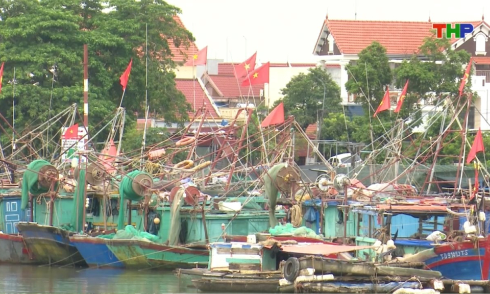 Bản tin thời sự trưa (08/02/2026)