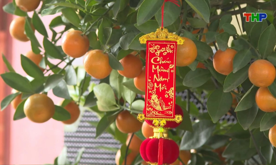 Bản tin thời sự cuối ng&agrave;y (09/02/2026)