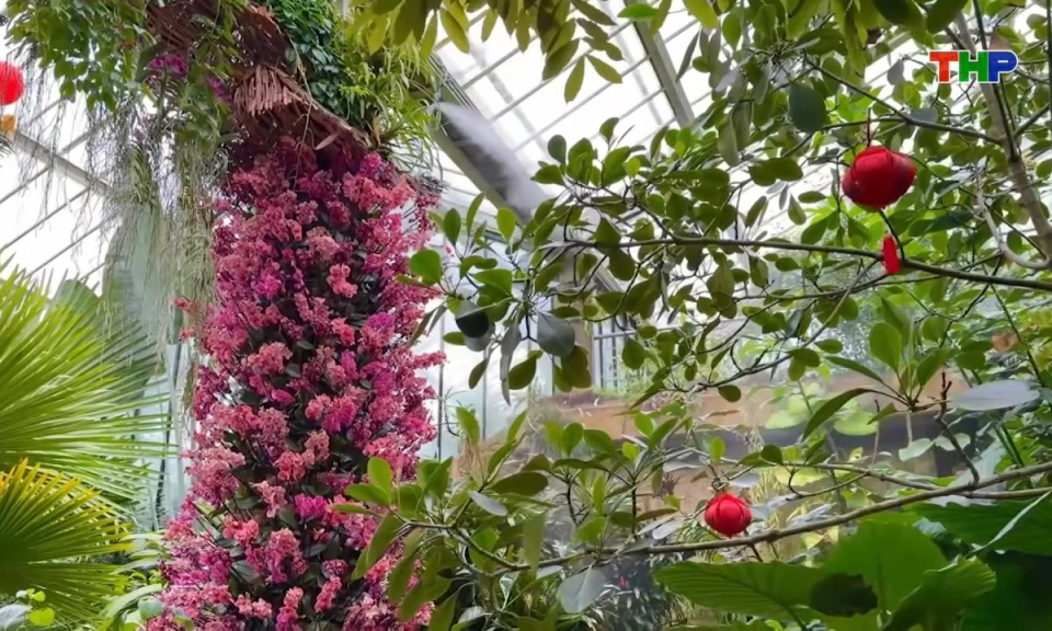 Thế giới mỗi ng&agrave;y (09/02/2026)