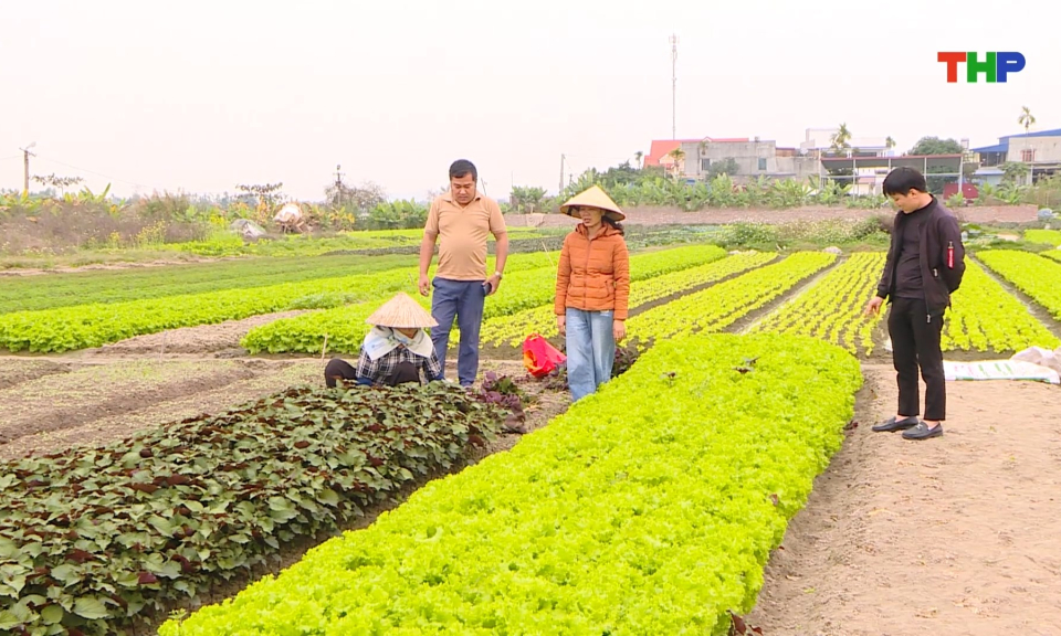 Bảo đảm nguồn cung n&ocirc;ng sản dịp Tết