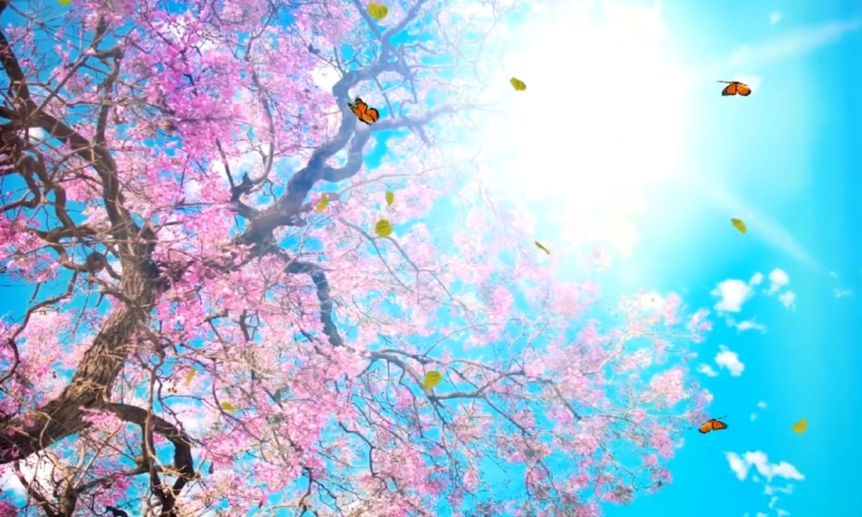 Diễn đ&agrave;n văn học nghệ thuật: M&ugrave;a Xu&acirc;n trong thơ Đường