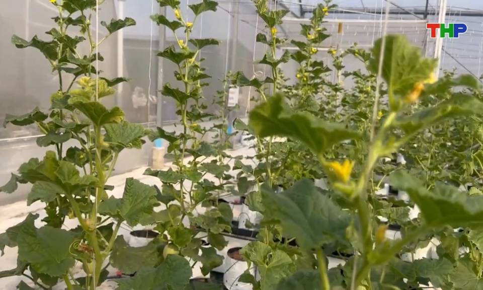 Ứng dụng c&ocirc;ng nghệ số trong n&ocirc;ng nghiệp 