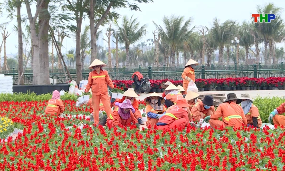 Bản tin tiếng Anh - Hai Phong News (10/02/2026)